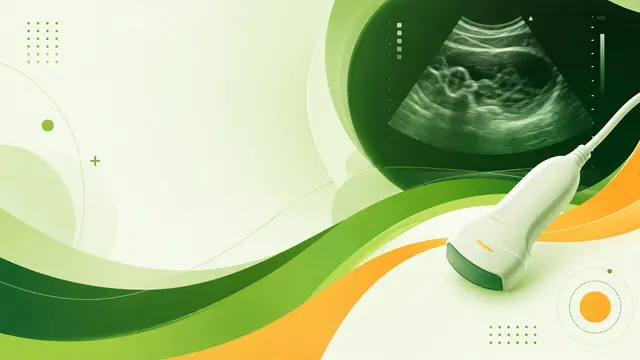 Превью раздела «Adult abdomen»