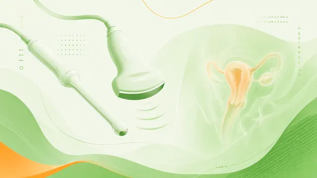 Превью раздела «Pelvis»