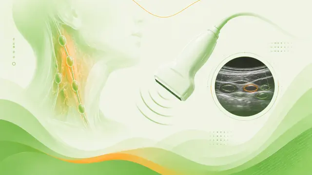Превью раздела «Neck lymph nodes»
