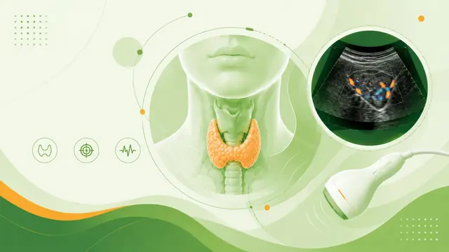 Превью раздела «Thyroid»